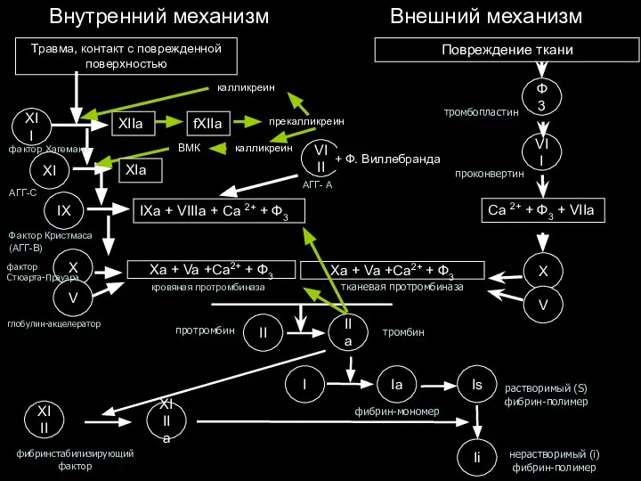 Внутренний механизм Внешний механизм