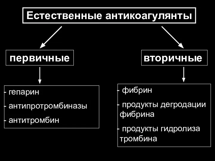 Естественные антикоагулянты первичные вторичные гепарин антипротромбиназы антитромбин фибрин продукты дегродации фибрина продукты гидролиза тромбина