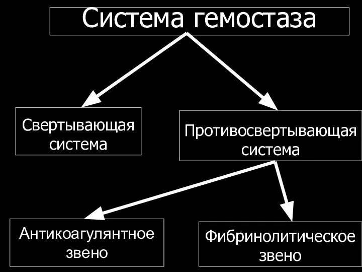 Антикоагулянтное звено Противосвертывающая система Свертывающая система Система гемостаза Фибринолитическое звено