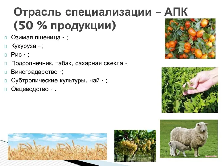 Отрасль специализации – АПК (50 % продукции) Озимая пшеница - ;