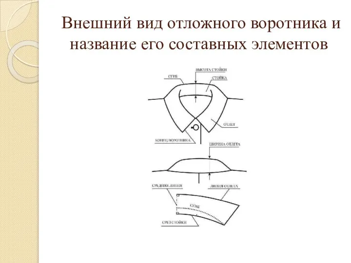 Внешний вид отложного воротника и название его составных элементов