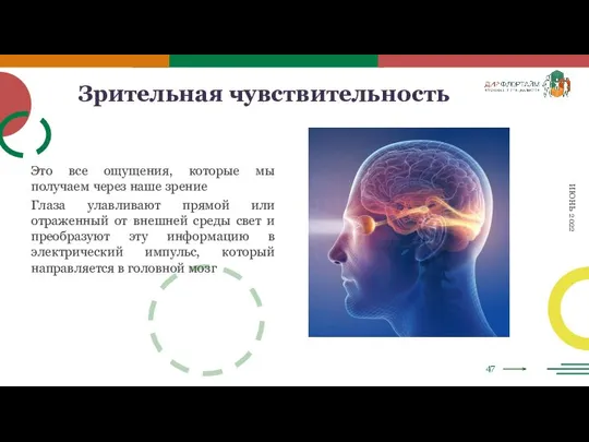 47 ИЮНЬ 2022 Зрительная чувствительность Это все ощущения, которые мы получаем