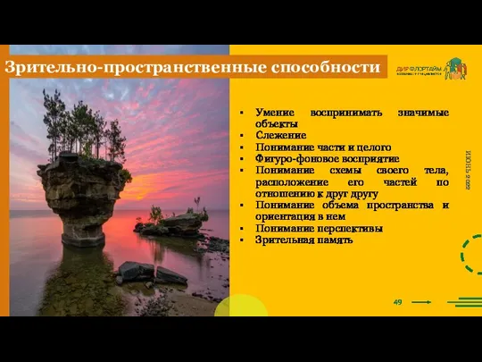 49 ИЮНЬ 2022 Зрительно-пространственные способности Умение воспринимать значимые объекты Слежение Понимание