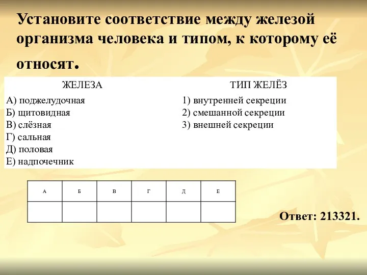 Установите соответствие между железой организма человека и типом, к которому её относят. Ответ: 213321.