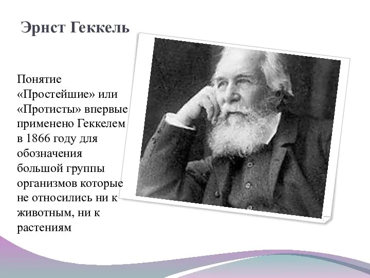 Эрнст Геккель Понятие «Простейшие» или «Протисты» впервые применено Геккелем в 1866