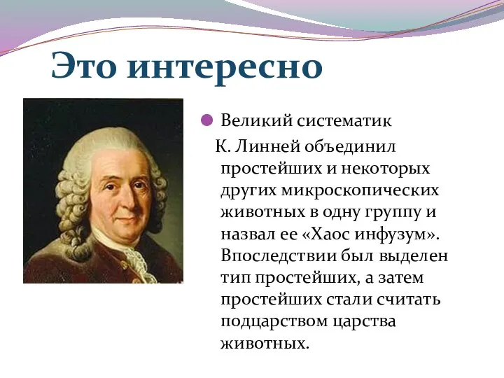 Великий систематик К. Линней объединил простейших и некоторых других микроскопических животных