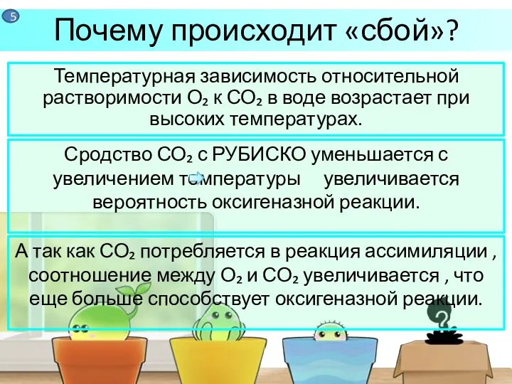 Температурная зависимость относительной растворимости О₂ к СО₂ в воде возрастает при