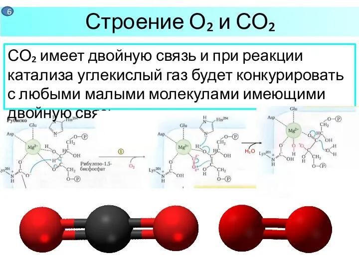 СО₂ имеет двойную связь и при реакции катализа углекислый газ будет
