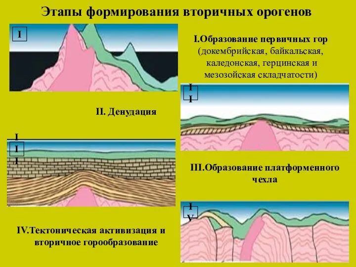 Этапы формирования вторичных орогенов I.Образование первичных гор (докембрийская, байкальская, каледонская, герцинская