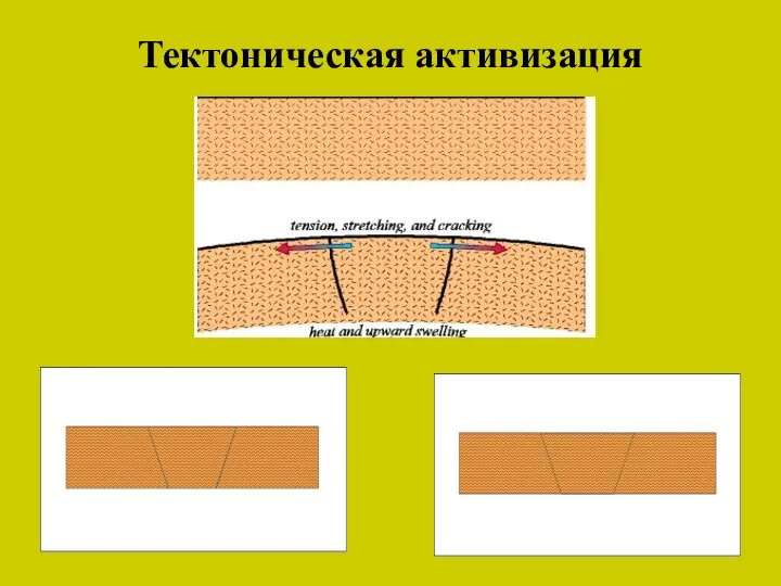 Тектоническая активизация