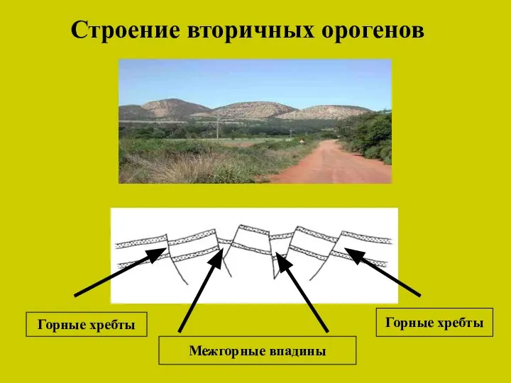 Строение вторичных орогенов Горные хребты Горные хребты Межгорные впадины