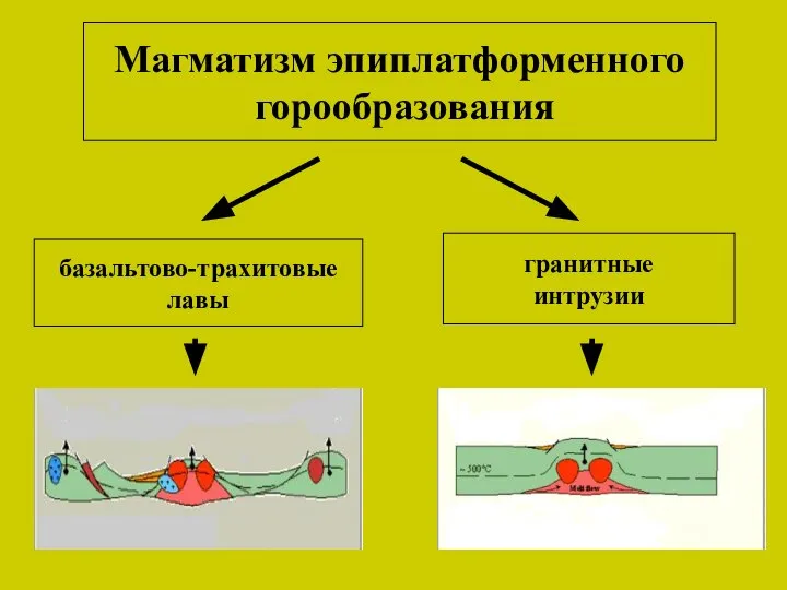 Магматизм эпиплатформенного горообразования базальтово-трахитовые лавы гранитные интрузии