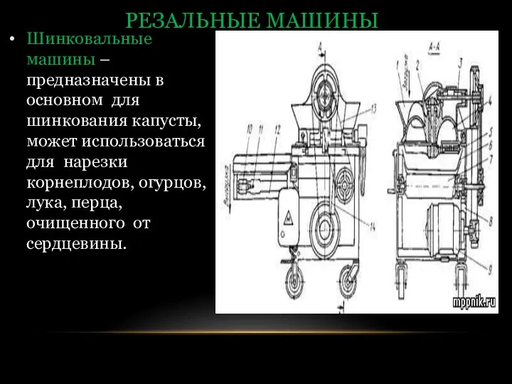 Шинковальные машины – предназначены в основном для шинкования капусты, может использоваться