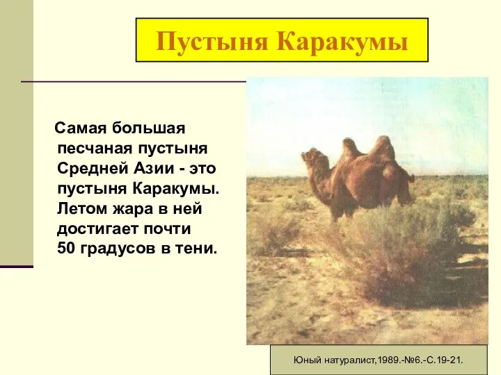 Пустыня Каракумы Самая большая песчаная пустыня Средней Азии - это пустыня