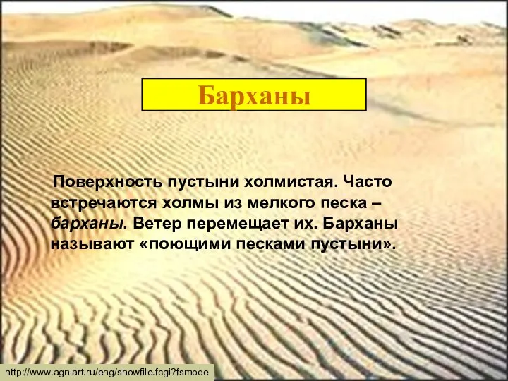 Барханы Поверхность пустыни холмистая. Часто встречаются холмы из мелкого песка –