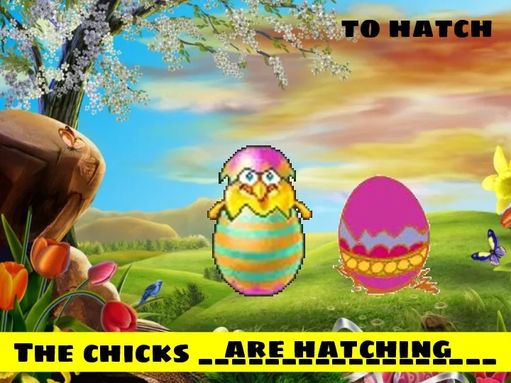 to hatch The chicks __________________ are hatching