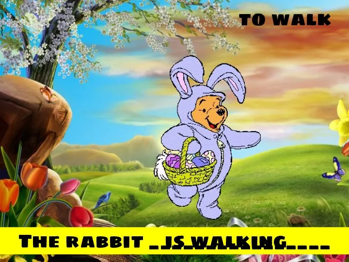 to walk The rabbit ________________ is walking