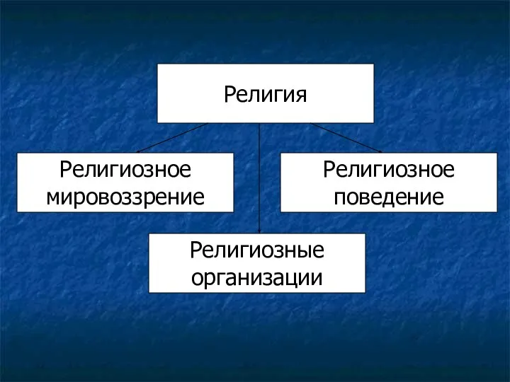 Религия Религиозное поведение Религиозные организации Религиозное мировоззрение