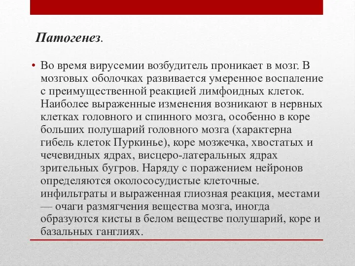 Патогенез. Во время вирусемии возбудитель проникает в мозг. В мозговых оболочках