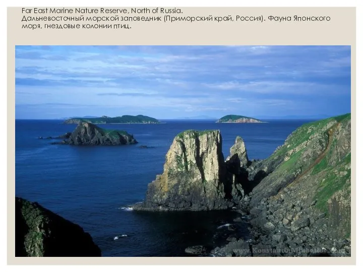 Far East Marine Nature Reserve, North of Russia. Дальневосточный морской заповедник