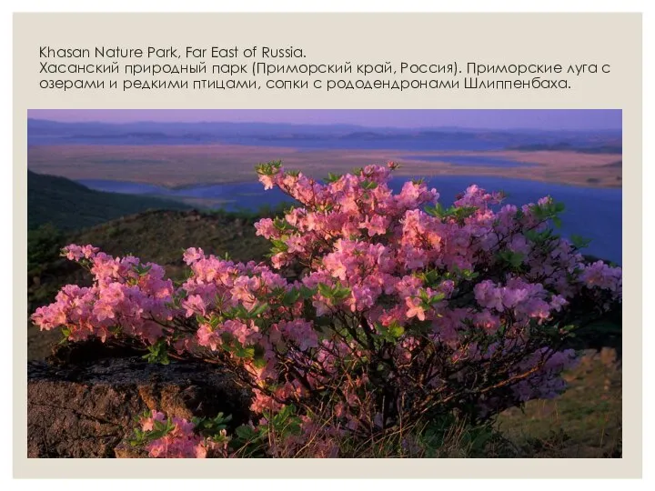 Khasan Nature Park, Far East of Russia. Хасанский природный парк (Приморский