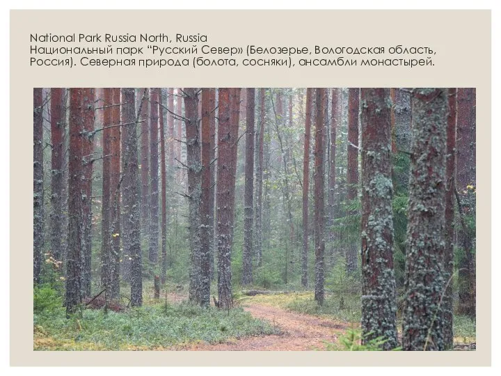 National Park Russia North, Russia Национальный парк “Русский Север» (Белозерье, Вологодская