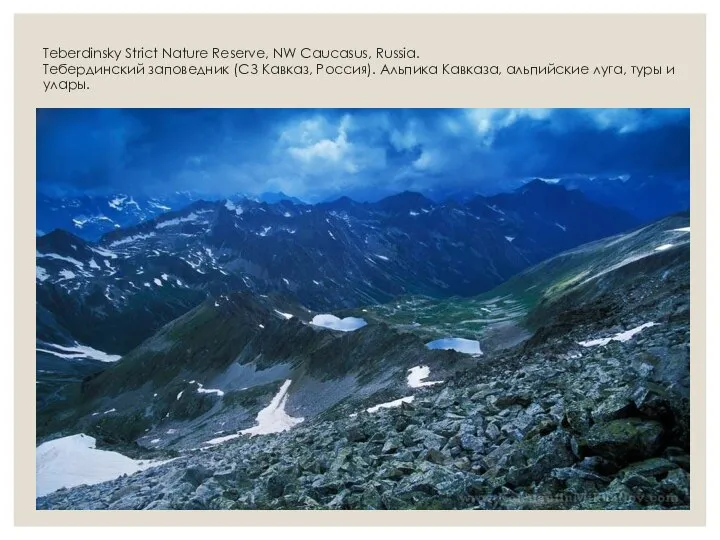 Teberdinsky Strict Nature Reserve, NW Caucasus, Russia. Тебердинский заповедник (СЗ Кавказ,