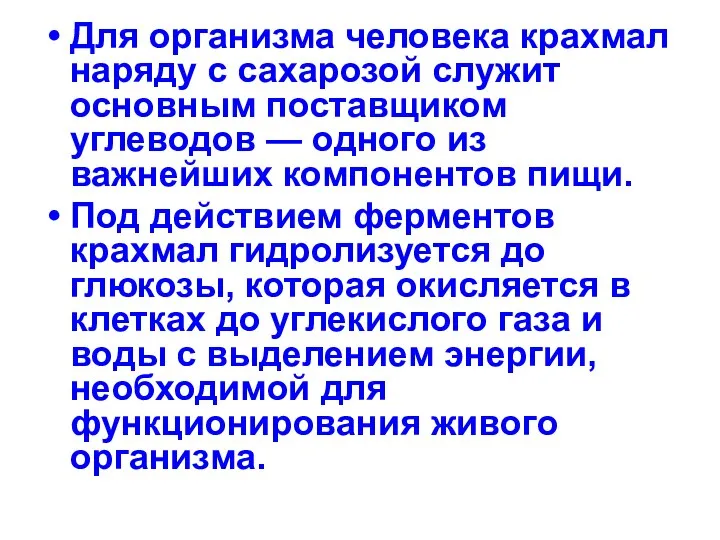 Для организма человека крахмал наряду с сахарозой служит основным поставщиком углеводов