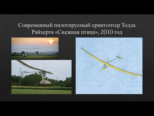 Современный пилотируемый орнитоптер Тодда Райхерта «Снежная птица», 2010 год