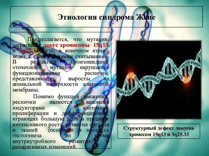 Этиология синдрома Жене Предполагается, что мутация затрагивает локус хромосомы 15q13 и