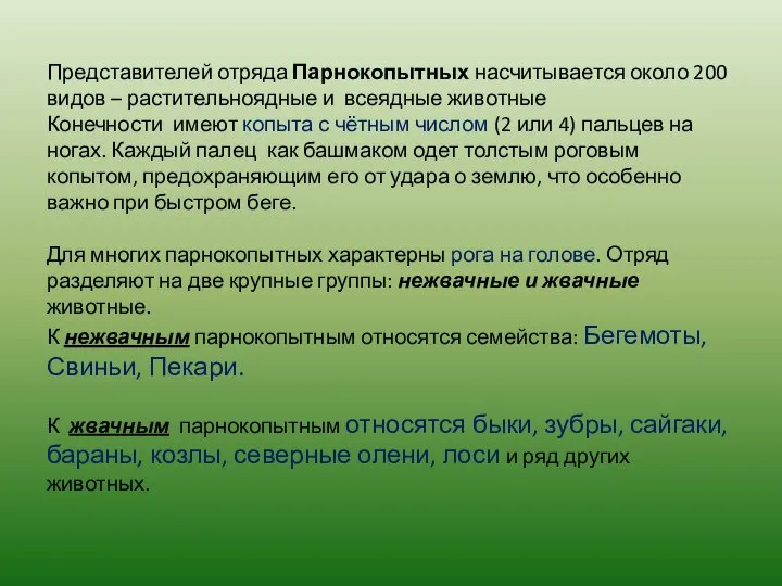 Представителей отряда Парнокопытных насчитывается около 200 видов – растительноядные и всеядные