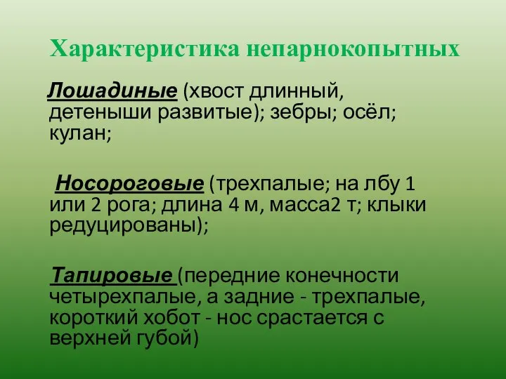 Характеристика непарнокопытных Лошадиные (хвост длинный, детеныши развитые); зебры; осёл; кулан; Носороговые