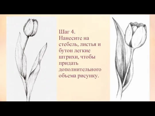 Шаг 4. Нанесите на стебель, листья и бутон легкие штрихи, чтобы придать дополнительного объема рисунку.