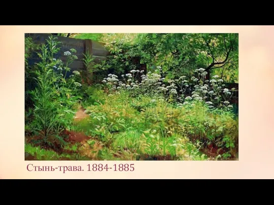 Стынь-трава. 1884-1885