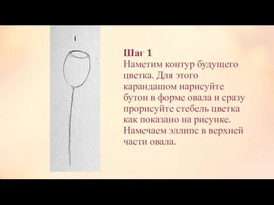 Шаг 1 Наметим контур будущего цветка. Для этого карандашом нарисуйте бутон