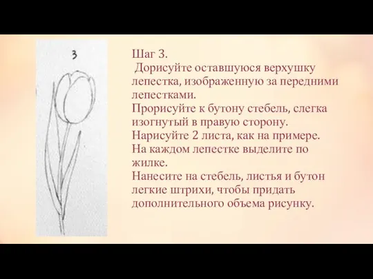 Шаг 3. Дорисуйте оставшуюся верхушку лепестка, изображенную за передними лепестками. Прорисуйте