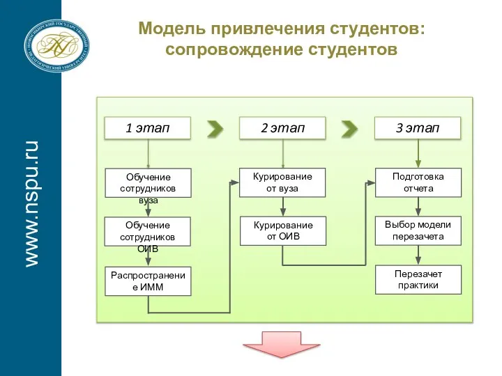 www.nspu.ru Модель привлечения студентов: сопровождение студентов