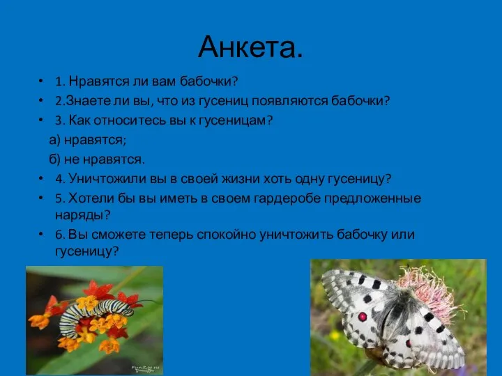 Анкета. 1. Нравятся ли вам бабочки? 2.Знаете ли вы, что из