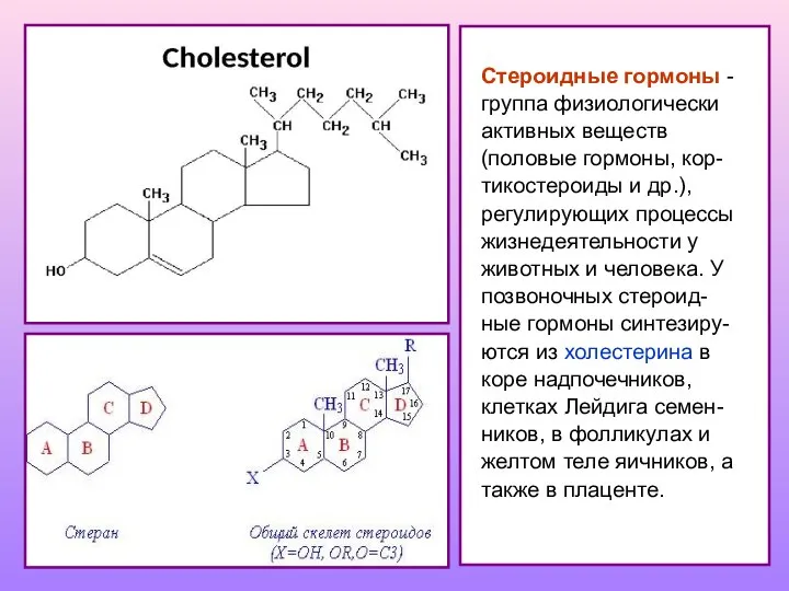 Стероидные гормоны - группа физиологически активных веществ (половые гормоны, кор-тикостероиды и