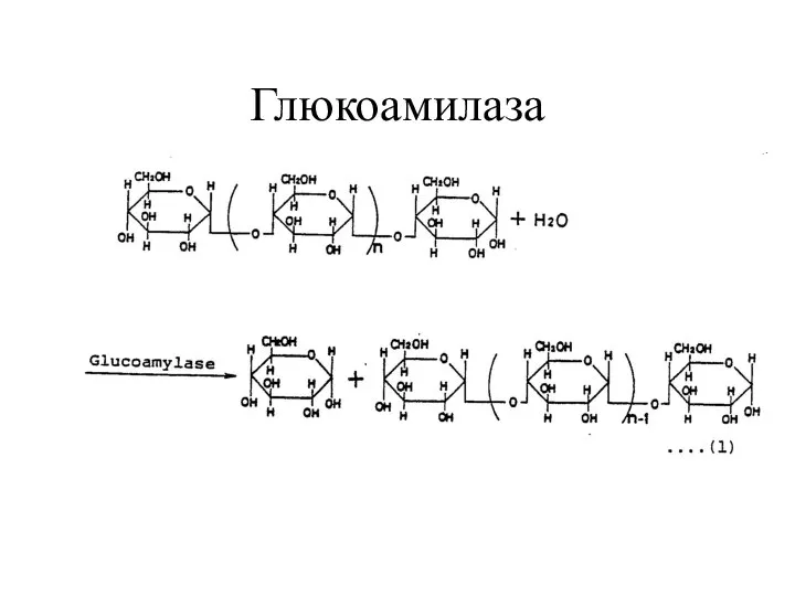 Глюкоамилаза