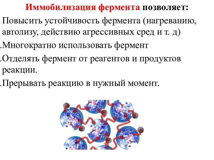 Иммобилизация фермента позволяет: Повысить устойчивость фермента (нагреванию, автолизу, действию агрессивных сред