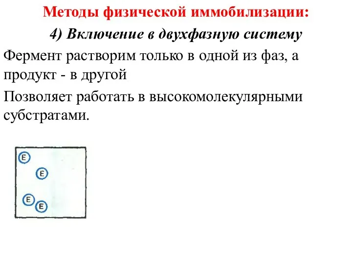 Методы физической иммобилизации: 4) Включение в двухфазную систему Фермент растворим только