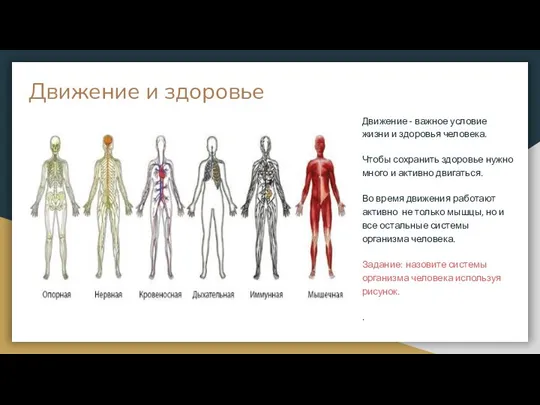 Движение и здоровье Движение - важное условие жизни и здоровья человека.