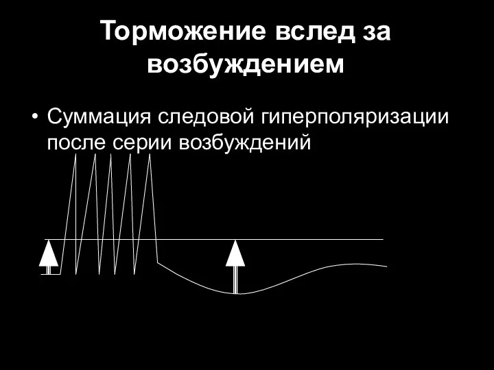 Торможение вслед за возбуждением Суммация следовой гиперполяризации после серии возбуждений