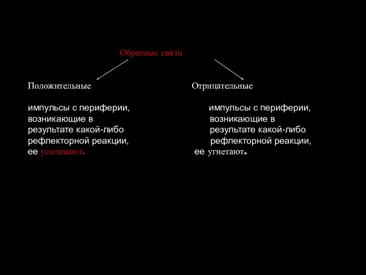 Обратные связи Положительные Отрицательные импульсы с периферии, импульсы с периферии, возникающие