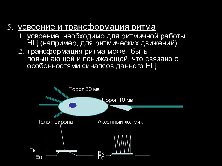 усвоение и трансформация ритма усвоение необходимо для ритмичной работы НЦ (например,