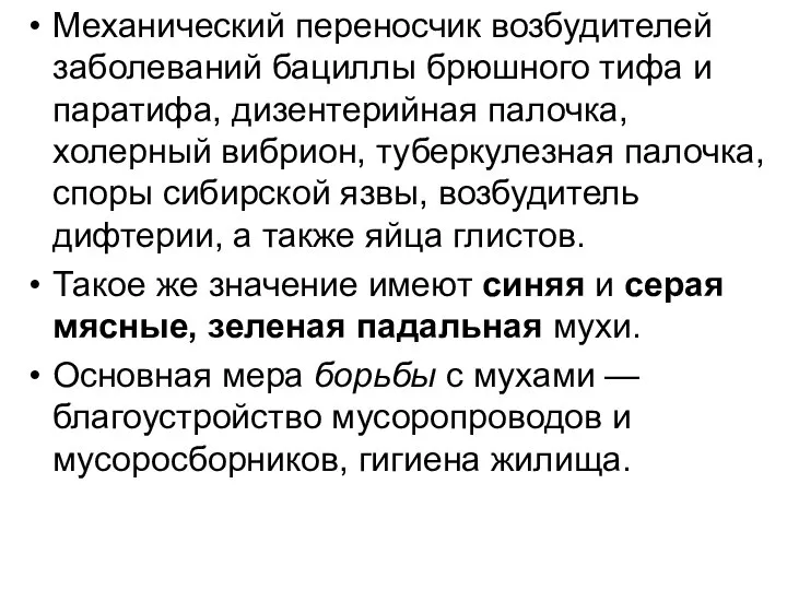 Механический переносчик возбудителей заболеваний бациллы брюшного тифа и паратифа, дизентерийная палочка,