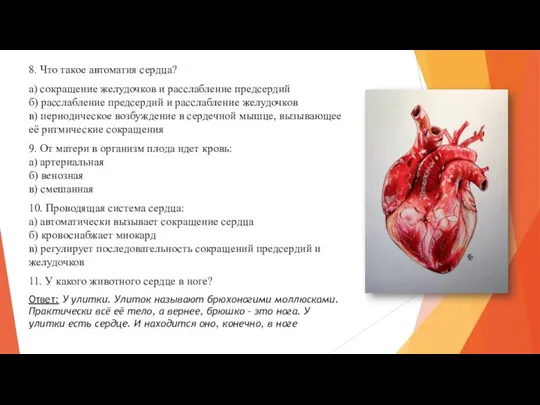 8. Что такое автоматия сердца? а) сокращение желудочков и расслабление предсердий