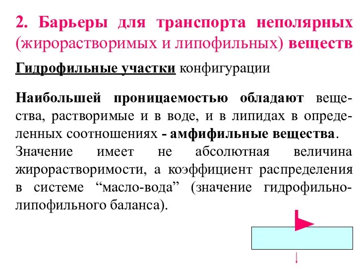 2. Барьеры для транспорта неполярных (жирорастворимых и липофильных) веществ Гидрофильные участки