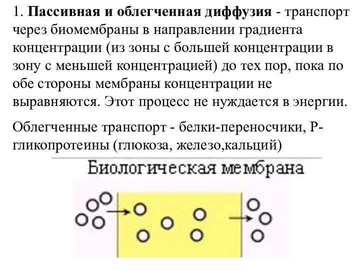 1. Пассивная и облегченная диффузия - транспорт через биомембраны в направлении